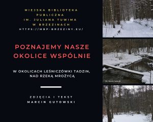 Read more about the article W okolicach leśniczówki Tadzin, nad rzeką Mrożycą