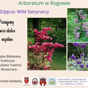 Arboretum SGGW w Rogowie. Poznajemy nasze okolice wspólnie