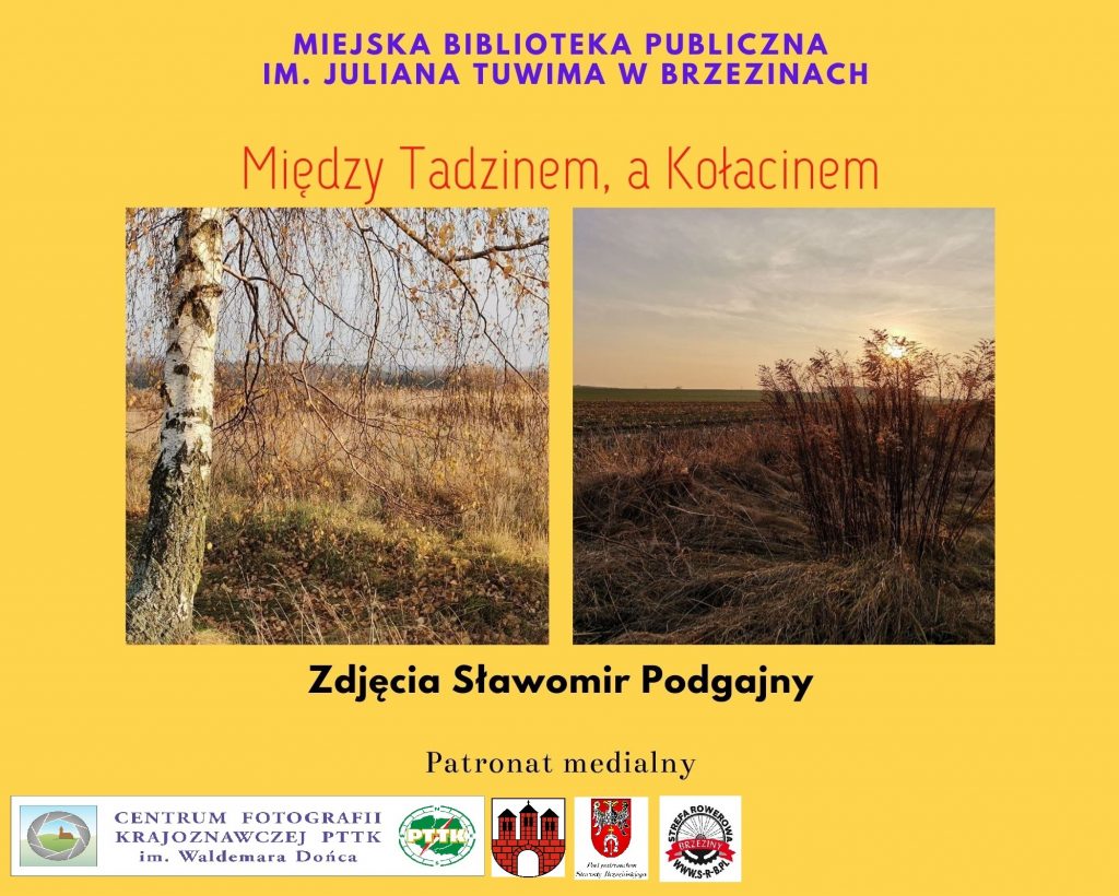Read more about the article Między Tadzinem a Kołacinem