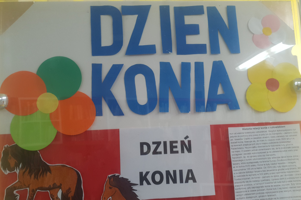 Read more about the article Wkrótce Ogólnopolski Dzień Konia